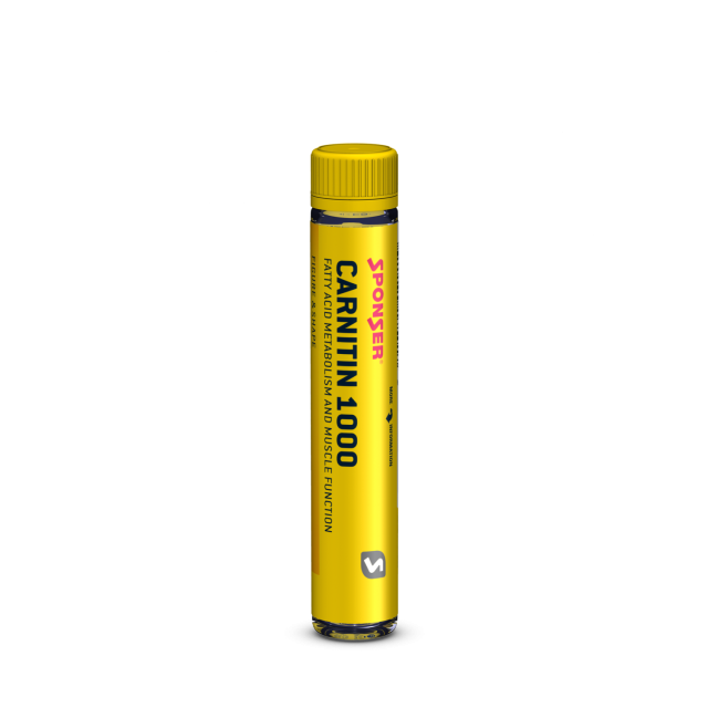 Carnitin 1000 Ampulle