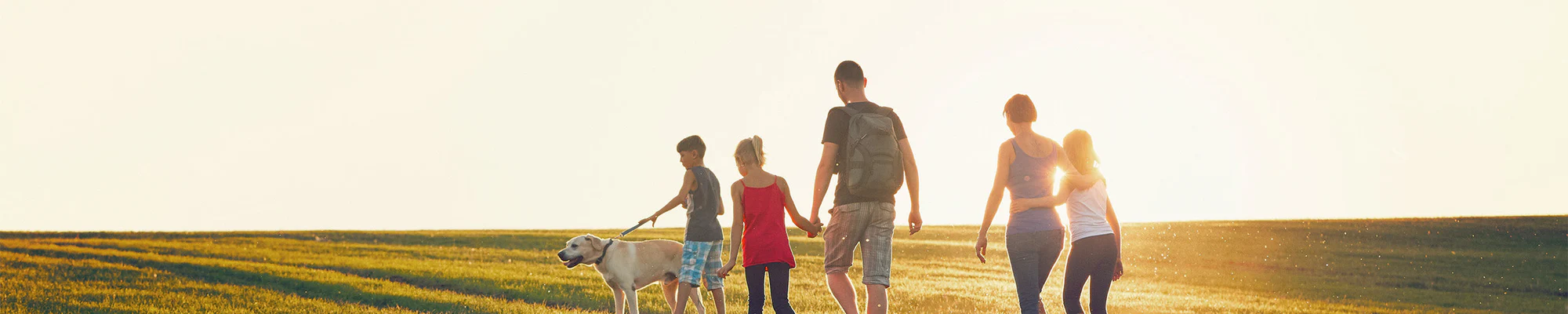 Здоровье и Жизненная Сила