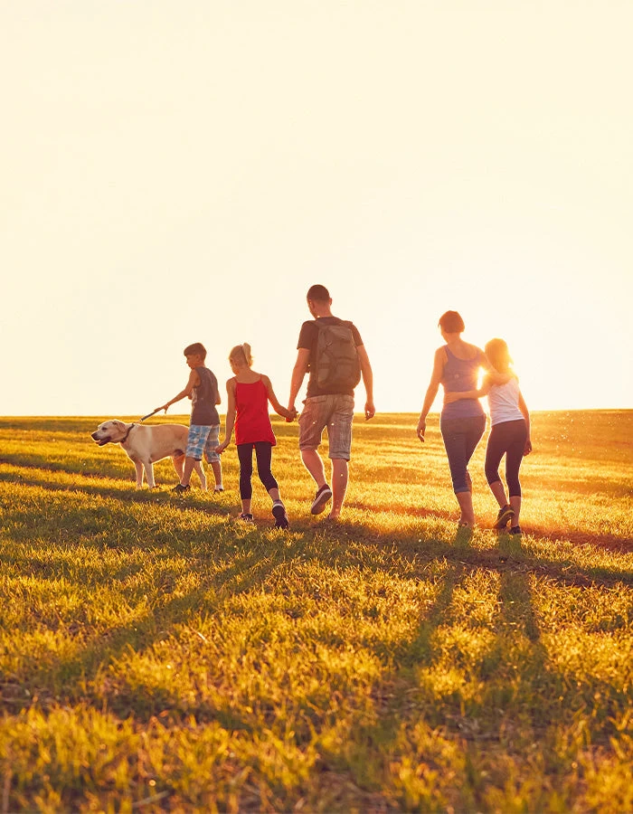 Жизненная сила